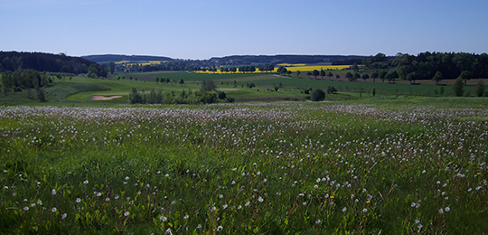 Golfclub Tegernbach e.V.